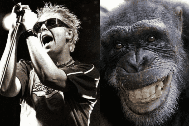 the offspring peta, THE OFFSPRING Catch Hell From PETA Over That Chimpanzee Music Video