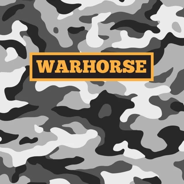 iron maiden paul dianno, Former IRON MAIDEN Singer PAUL DI&#8217;ANNO Launches WARHORSE Project, Announces Debut Single