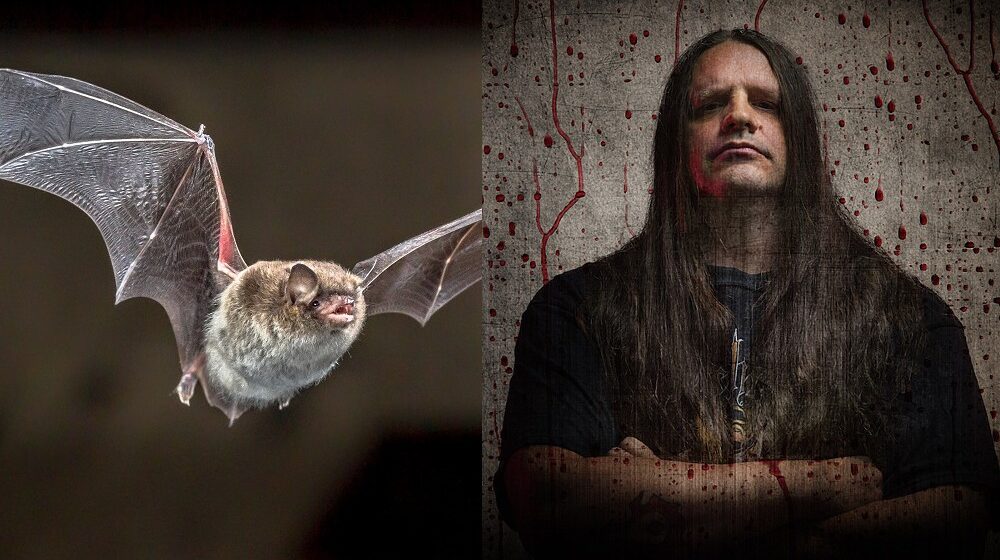death metal growls,death metal,cannibal corpse,death gutturals,death metal vocals,death metal vocalists,death metal grunts,george corpsegrinder fisher,death metal bats, Scientists Discover That Bats Use ‘Death Metal Growls’ To Communicate With Each Other