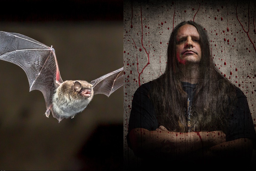 Cannibal-Corpse-Corpsegrinder-Fisher-bat
